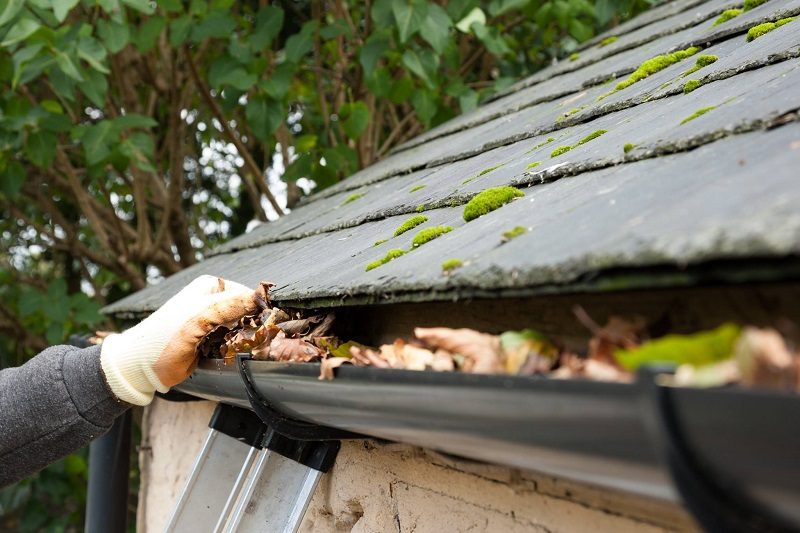 gutter-cleaning